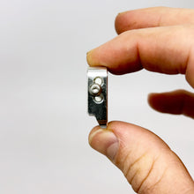 Load image into Gallery viewer, 1" Pin Ladder Lock